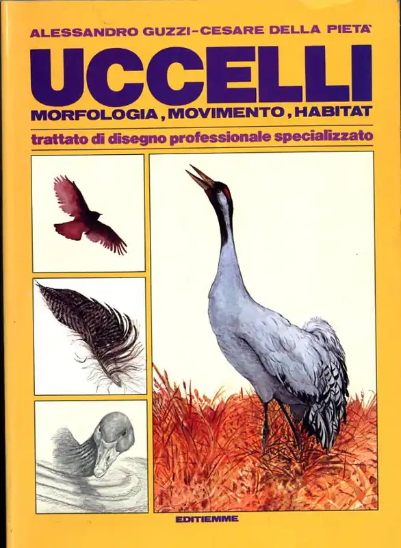 UCCELLI Compra Online